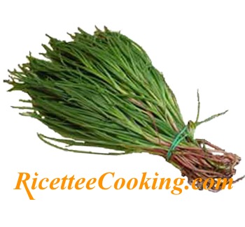 Agretti (o barba del frate)